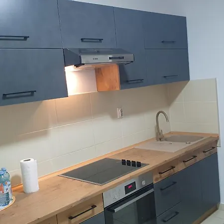 Biser Apartment Novi Sad